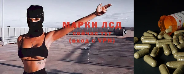 гидропоника Алексеевка