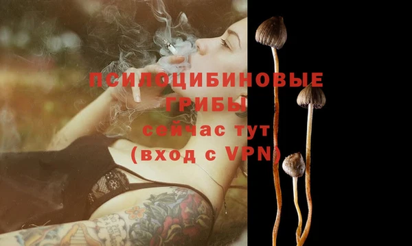 сатива Алзамай
