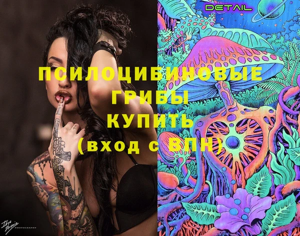 гидропоника Алексеевка