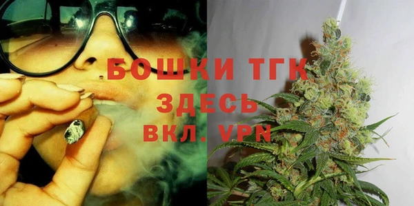 сатива Алзамай