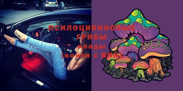 гидропоника Алексеевка