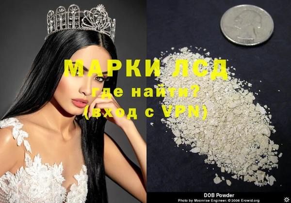 сатива Алзамай