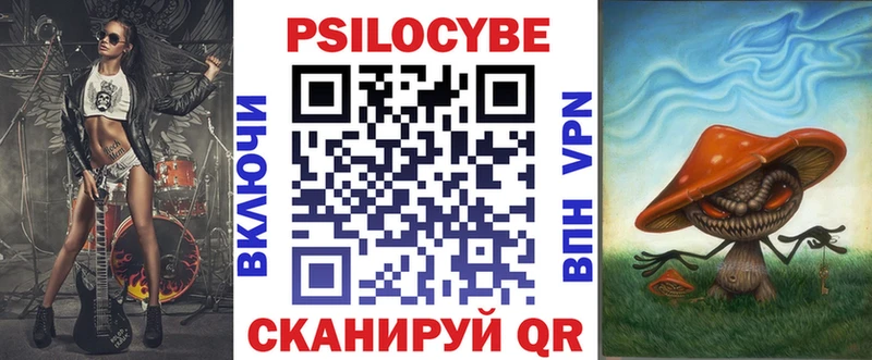 Псилоцибиновые грибы Psilocybine cubensis  закладка  Чайковский 